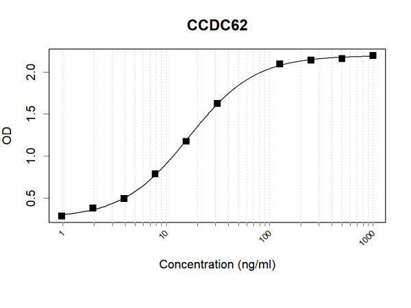 Anti-Human CCDC62 Antibody Pair