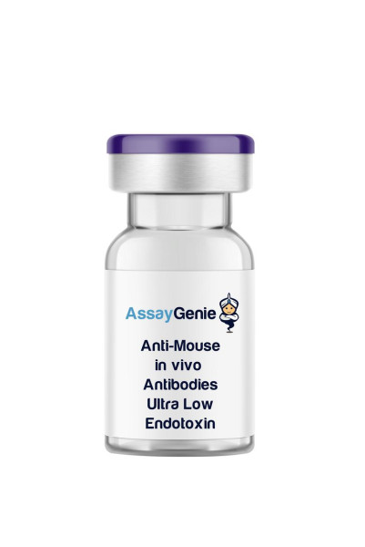 Anti-Mouse CD154 In Vivo Antibody - Ultra Low Endotoxin