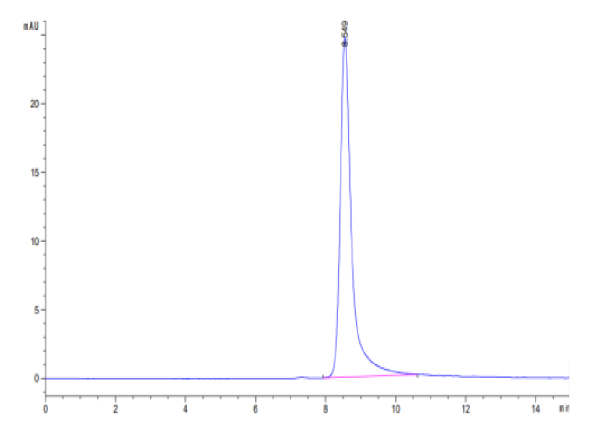 Cynomolgus APOH Protein