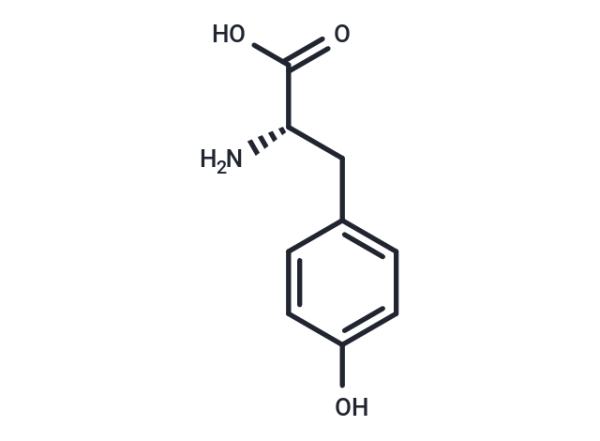 L-Tyrosine