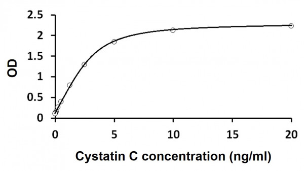 Anti-Cystatin C, clone 6F12-C7-D8