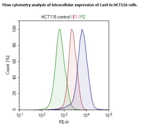Cas9-Expressing HCT116 Cell line - High expression