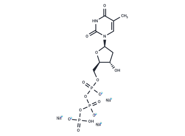 Deoxythymidine triphosphate