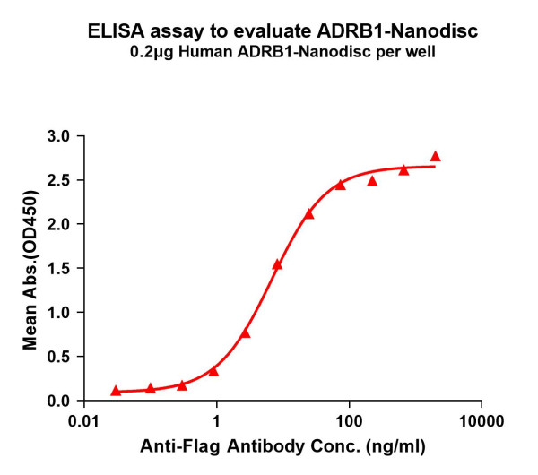 ADRB1 (human) full length protein-synthetic nanodisc