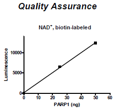 NAD, Biotin labeled (250 µM aqueous solution)