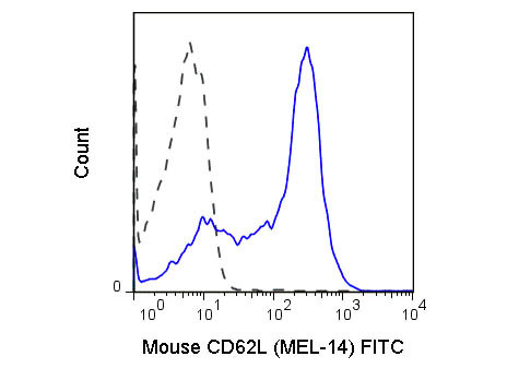 Anti-CD62L Fluorescein Conjugated, clone MEL-14