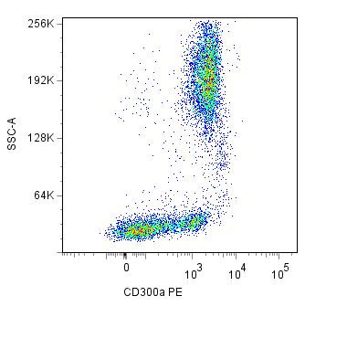 Anti-CD300a, clone MEM-260 (PE)