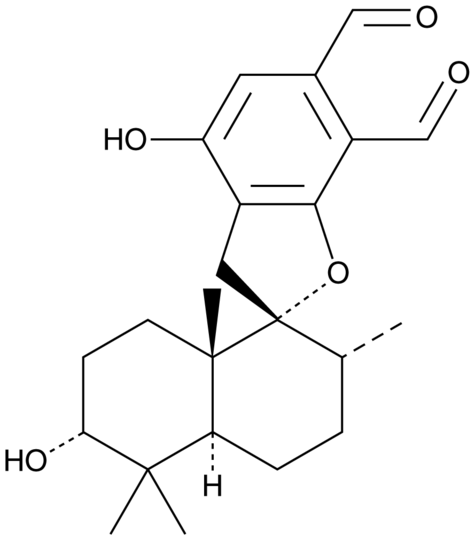 Mer-NF5003F