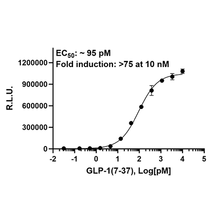 Rat GLP-1R/CRE Luciferase Reporter HEK293 Cell Line