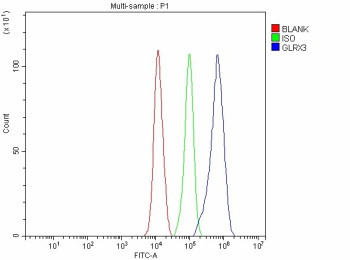 Anti-GLRX3 / Glutaredoxin 3 / PICOT
