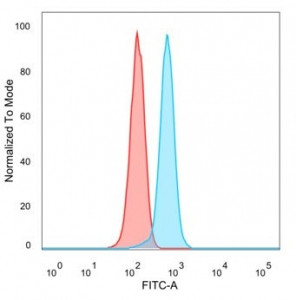 Anti-GTF2I / TFII-I, clone PCRP-GTF2I-1A7