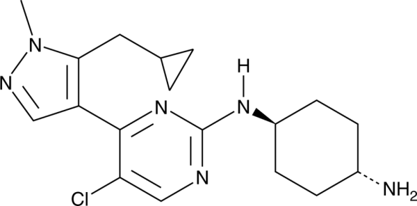 Casein Kinase Inhibitor A51