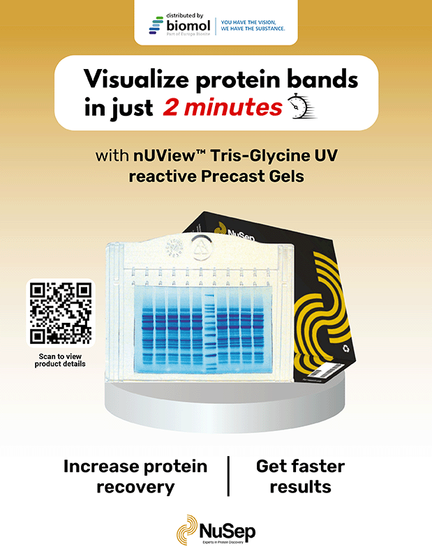 nUView™ Tris-Glycine UV reactive Precast Gels
