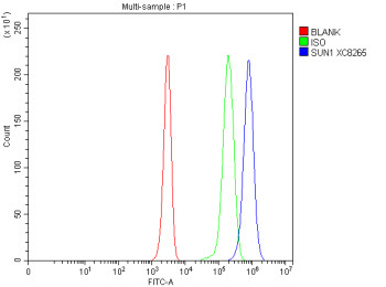 Anti-SUN1 / Sad1/UNC-84 domain-containing protein 1