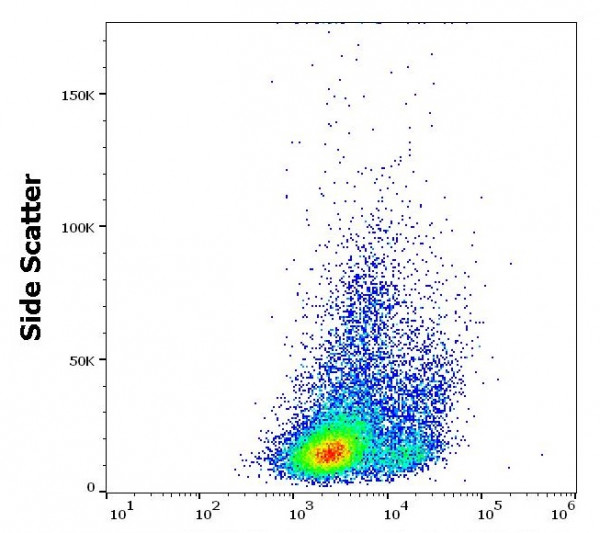 Anti-CD178 / Fas-L, clone NOK-1