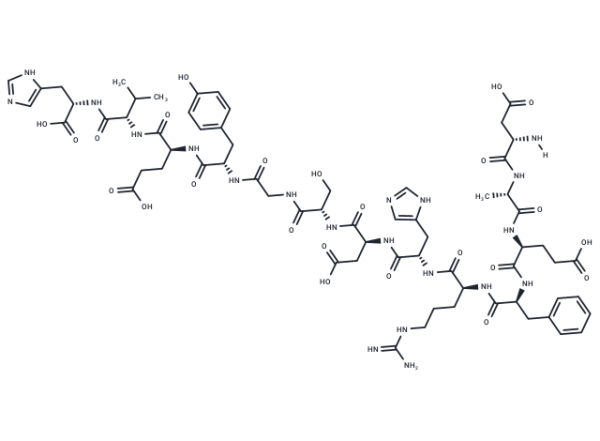 beta-Amyloid (1-13)