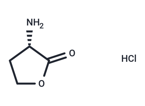 L-Homoserine lactone (hydrochloride)
