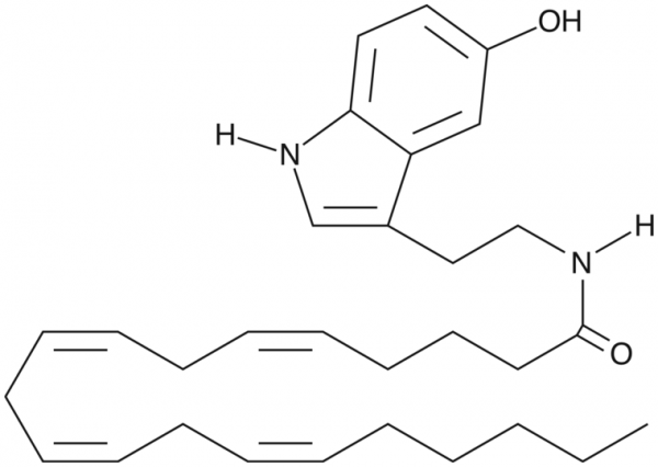 Arachidonoyl Serotonin