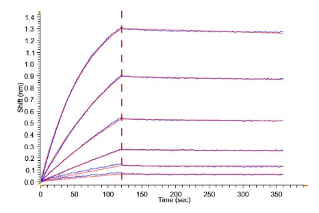 VEGF165, His &amp; Avi, Human