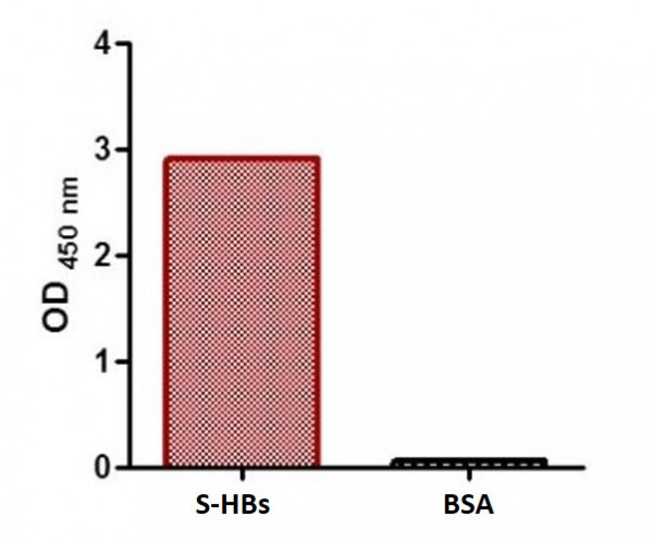 Anti-HBsAg, clone SQab1505