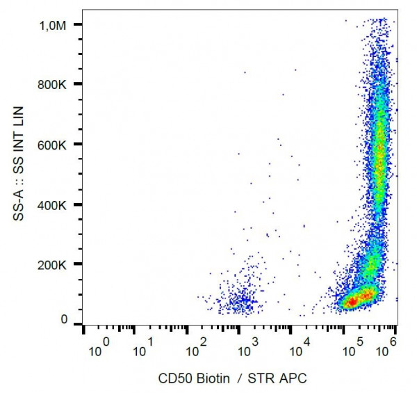 Anti-CD50, clone MEM-171 (Biotin)