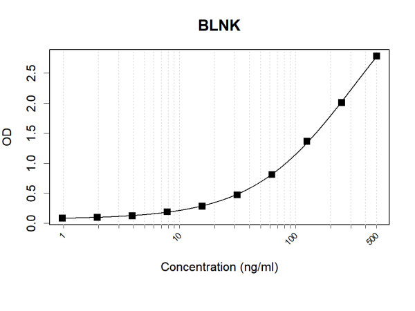 Anti-Human BLNK Antibody Pair