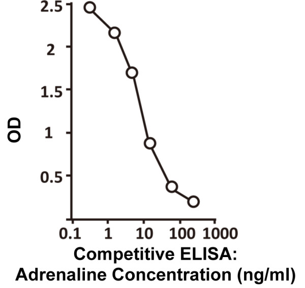 Human 2 CAT (Adrenaline + Noradrenaline) ELISA Kit