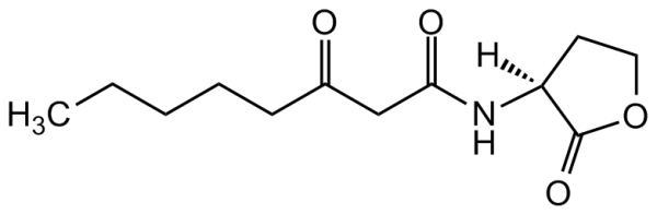 N-(3-Oxooctanoyl)-L-homoserine lactone