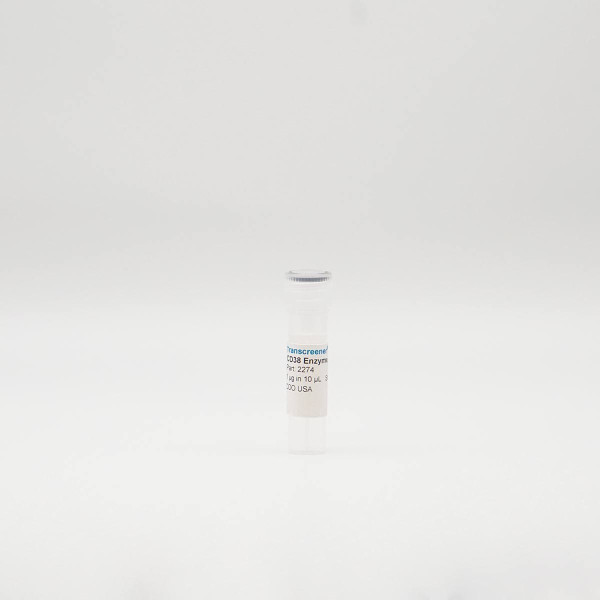Recombinant CD38 Enzyme, Active, Human