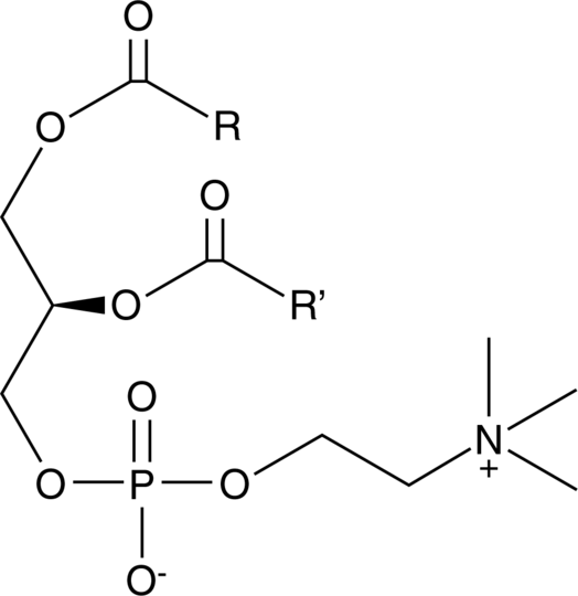 Phosphatidylcholine (hydrogenated) (soy)