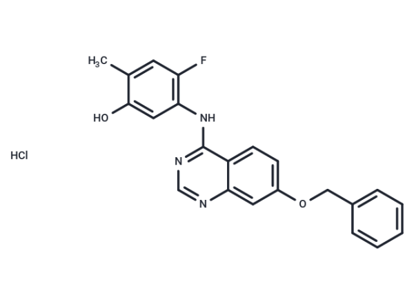 ZM323881 hydrochloride