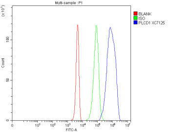 Anti-PLCD1 / Phospholipase C delta 1