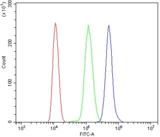 Anti-Mt-nd2 / NADH2