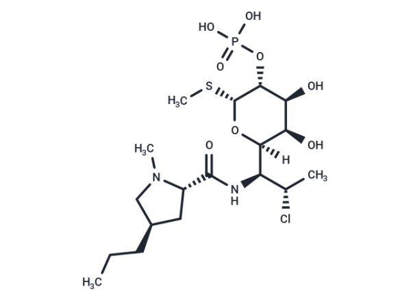 Clindamycin phosphate