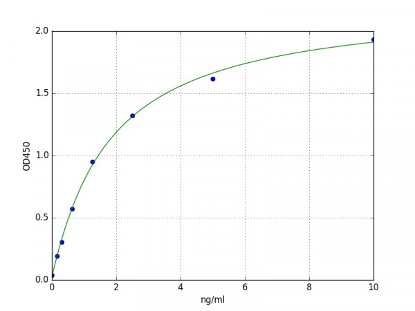 Human MMP28 / Matrix metalloproteinase-28 ELISA Kit