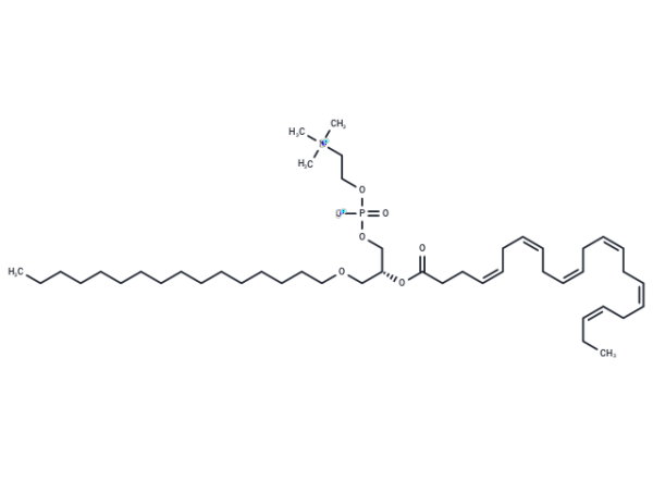 1-O-Hexadecyl-2-O-docosahexaenoyl-sn-glycero-3-phosphorylcholine