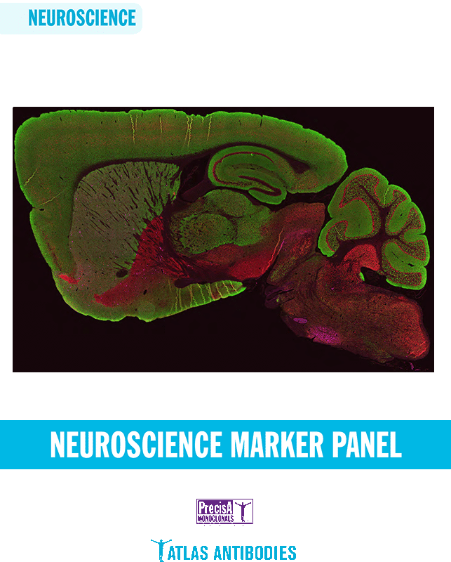 Neuroscience Marker Panel