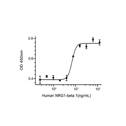 Neuregulin 1 beta (NRG1-beta) Recombinant (Human)