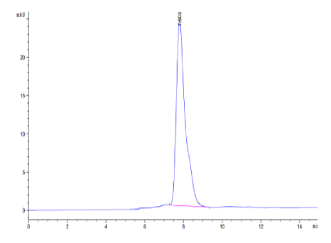 Envelope glycoprotein E, His, Varicella-zoster virus (strain Oka vaccine)