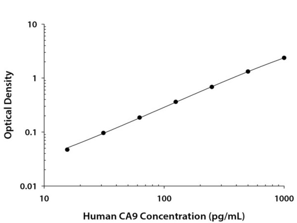 Anti-CA9 (Capture/Detector)