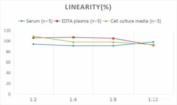 Rat TNF-alpha (Tumor Necrosis Factor Alpha) CLIA Kit