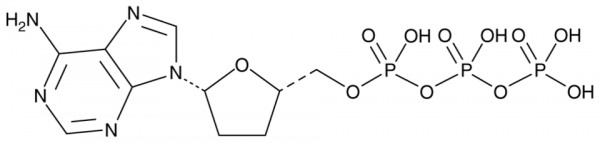 2&#039;,3&#039;-Dideoxyadenosine 5&#039;-triphosphate (lithium salt)