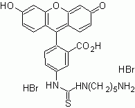 5-FITC cadaverine