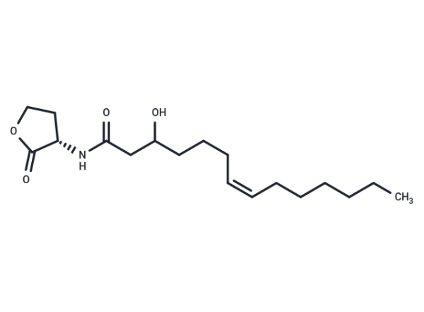 N-(3-hydroxy-7-cis tetradecenoyl)-L-Homoserine lactone