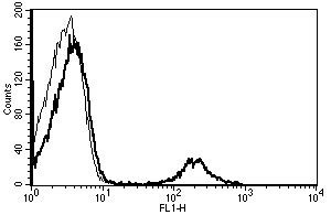 Anti-CD20