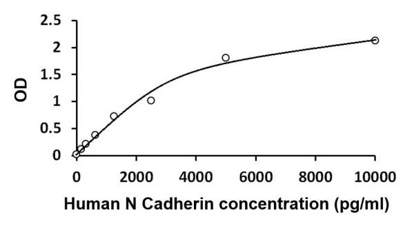 Human N Cadherin ELISA Kit