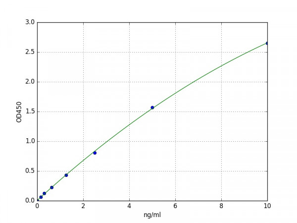 Human NCAM2 / Neural cell adhesion molecule 2 ELISA Kit