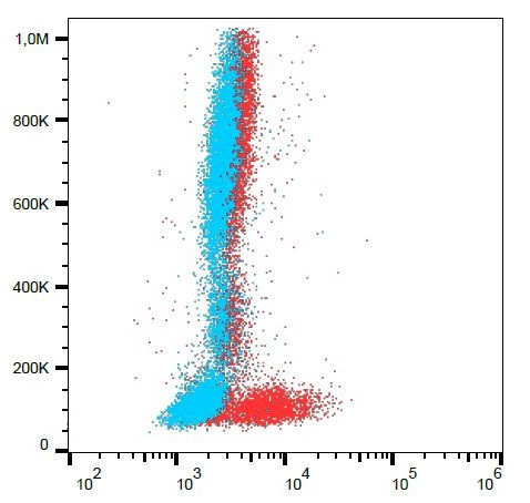 Anti-CD3 (activation epitope), clone APA1/1