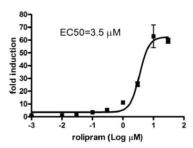 PDE4D Cell-Based Activity Assay Kit
