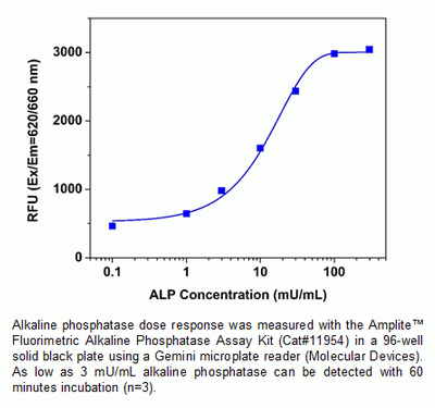 Amplite(TM)Fluorimetric Alkaline Phosphatase Assay Kit *Red Fluorescence*